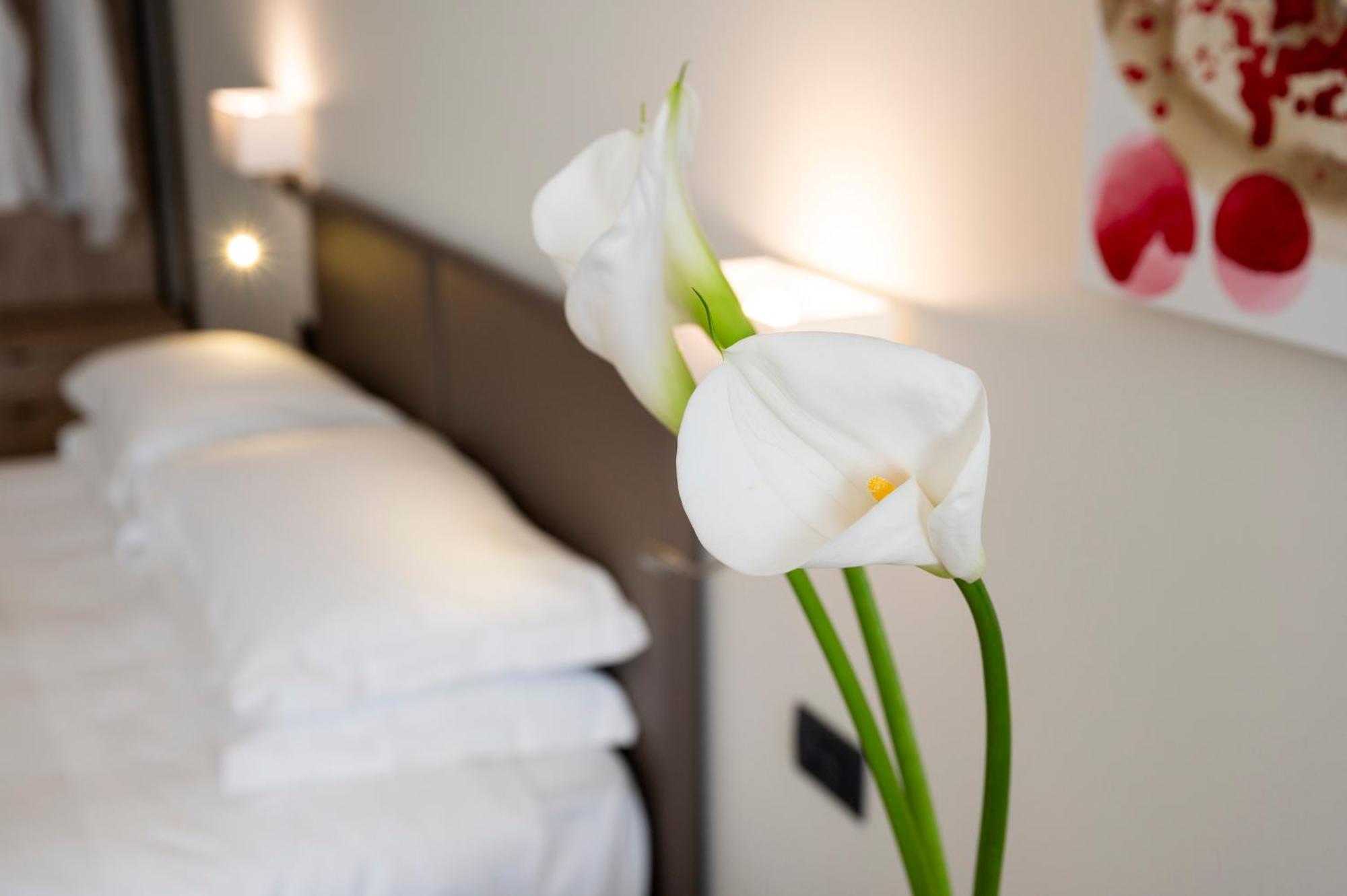 Plaza Hotel San Martino Siccomario